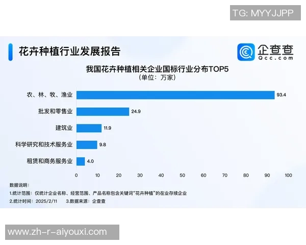 卡帕尼尼足球带便技术革新与市场变革深度解析 卡帕尼尼足球带便技术革新与市场变革深度解析